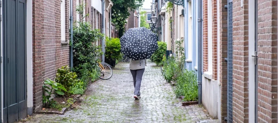 netherlands-leiden-town-lady-with-umbrella-walks-2026-03-17-05-07-55-utc